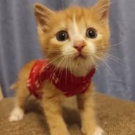 itskittytime